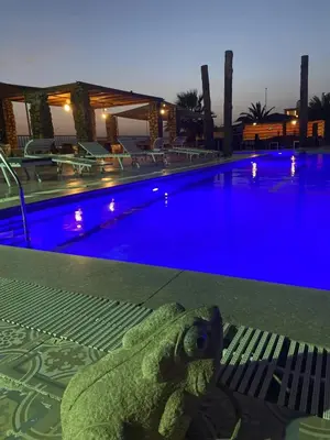 a frog statue sitting next to a swimming pool at night at Bait Alaqaba dive center & resort in Aqaba