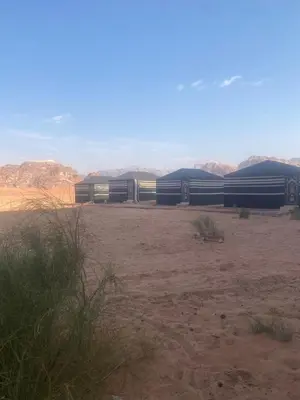 a group of train cars parked in a field at joy of life Camp in Wadi Rum