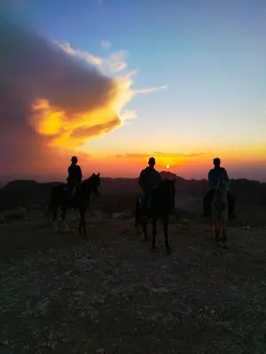 three people riding horses in front of a sunset at Petra Desert Dream Hotel in Wadi Musa