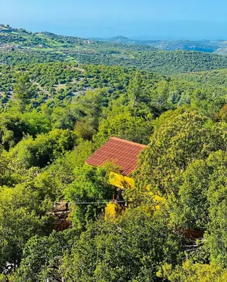 Gallery image of Ajloun Wooden Huts اكواخ عجلون الخشبية Live amid nature in Umm al Manābī‘