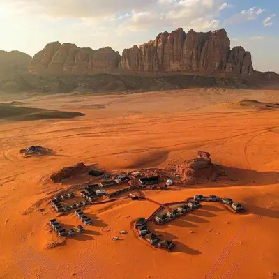 a group of camels in the desert at Art Camp Wadi Rum in Wadi Rum