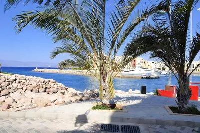 two palm trees on a beach next to the water at Only FAMILIES - Tala Bay Resort Aqaba - Seafront one bedroom apartment in Aqaba