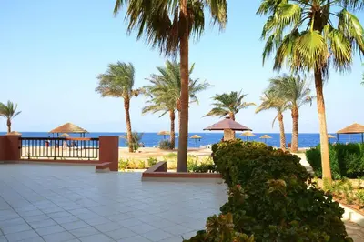 a view of a beach with palm trees and the ocean at Only FAMILIES - Tala Bay Resort Aqaba - Seafront one bedroom apartment in Aqaba
