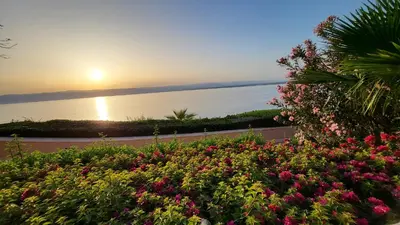 a view of the sunset from a garden with flowers at Comfy Stays Sea View Apartments at DeadSea Samarah Resort in Sowayma