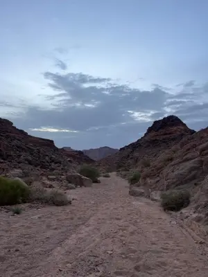 a dirt road in the middle of the desert at Bedouins nights in Wadi Rum