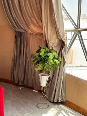 a potted plant sitting in front of a window at Sandy Camp Wadi Rum in Wadi Rum