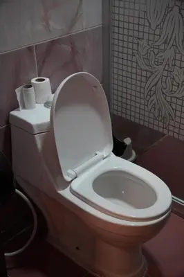 a bathroom with a toilet with two rolls of toilet paper at Petra voyager Hostel in Wadi Musa