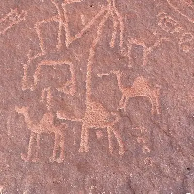 Wadirum Zeid Classic camp