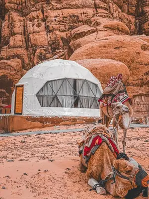a camel standing in front of a building in the desert at Allen Luxury Wadi Rum in Wadi Rum