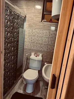 a bathroom with a toilet and a sink and a shower at IBN Khaldoon in Madaba