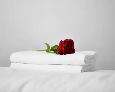 a red rose sitting on top of four towels at Petra Cloud 1977 in Wadi Musa