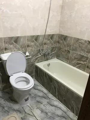 a bathroom with a toilet and a bath tub at Elite Furnished Apartment in Wadi Musa