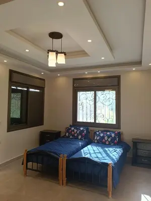 Gallery image of Quiet stay in Jerash