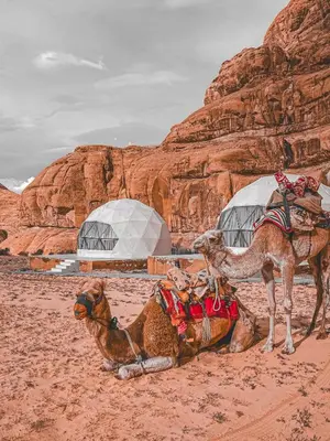 two camels in the desert with a building in the background at Scarlet Luxury Camp Wadi Rum in Wadi Rum
