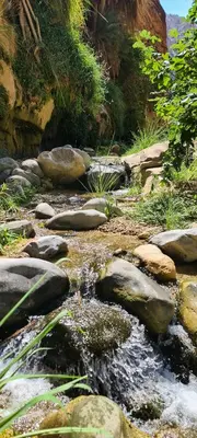 a stream of water with rocks in a garden at Dana Sunset Eco Camp in Dana