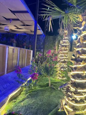a christmas tree in a garden at night at The royal cottage Amman in Al Qasţal