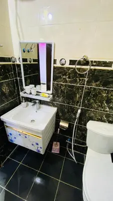 a bathroom with a toilet and a sink and a mirror at Petra Rose Apartment in Wadi Musa