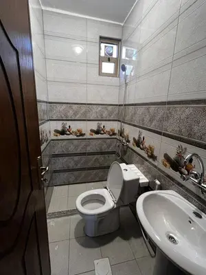 a bathroom with a toilet and a sink at Horizon22 in Wadi Musa