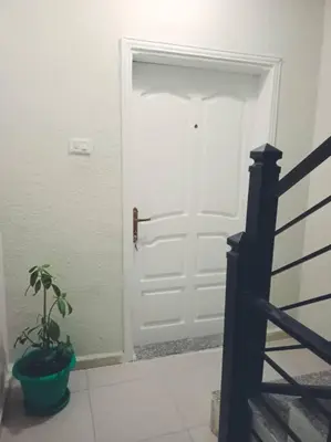 a white door with a potted plant in front of it at Pomegranate Tree in Wadi Musa