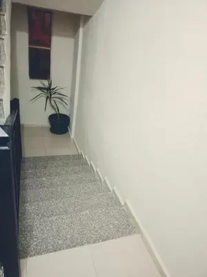 a stairway with a potted plant in a room at Pomegranate Tree in Wadi Musa