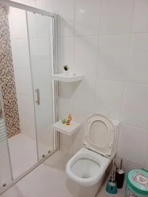 a white bathroom with a toilet and a shower at Pomegranate Tree in Wadi Musa