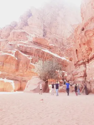 a group of people standing in front of a mountain at Mad Mix camp in Wadi Rum