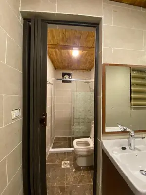 a bathroom with a toilet and a sink and a mirror at Desert Jewel Camp in Wadi Rum