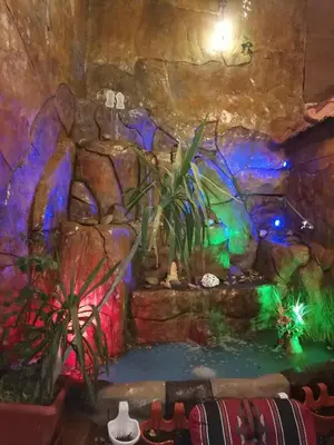 a artificial aquarium in a cave with a rock wall at Yaso Roof & Apartments in Amman