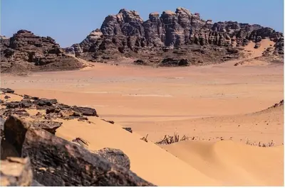 a view of the desert with mountains in the background at Maestro camp Wadi Rum in Wadi Rum