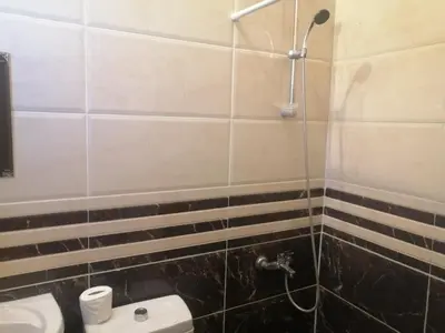 a bathroom with a toilet and a shower at The Stunning View in Wadi Musa