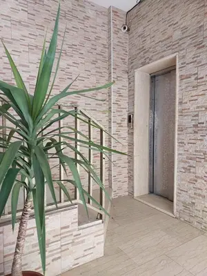 a palm tree in front of a brick wall with a door at Cozy Home 2 in Amman