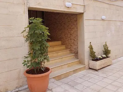 a plant in a large pot next to a staircase at Cozy Home 2 in Amman