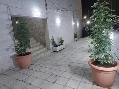 a hallway with two large potted plants and stairs at Cozy Home 3 in Amman