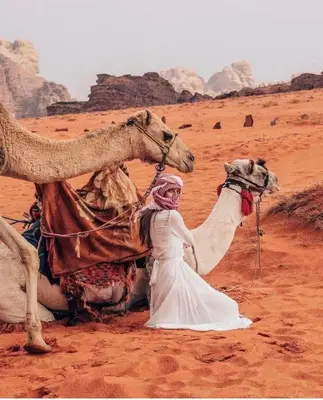 a woman standing next to a camel in the desert at Shaheen Camp Wadi rum in Wadi Rum