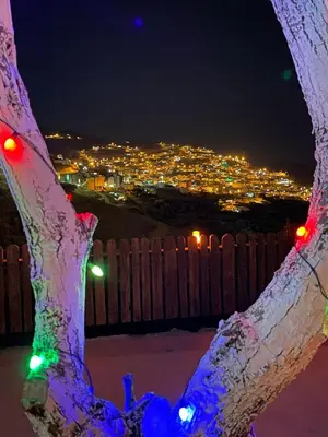 a tree with christmas lights on it at night at Grandpa House in Wadi Musa