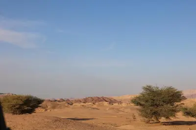 a view of the desert with two trees in the foreground at Feynan wild camp in Al Khuraybah