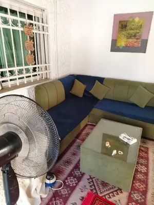 a living room with a blue couch and a fan at شقه بغرفه وصاله وبلكونه بدون شراكة in Amman