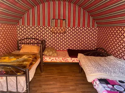 a room with two beds and a cat sleeping on a bench at Desert Gate Camp in Wadi Rum